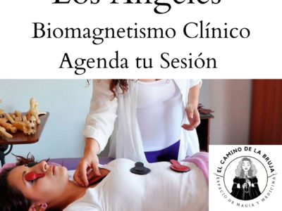 Sesión biomagnetismo
