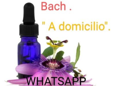Terapias complementarias A Domicilio