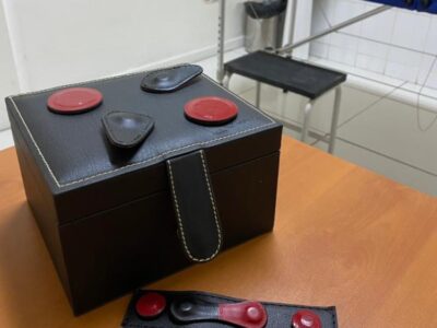 Terapias Biomagnetismo y Flores de Bach